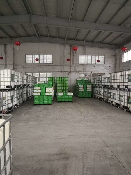 چین Shenzhen Taiqiang Investment Holding Co., Ltd نمایه شرکت